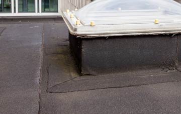 disadvantages of Trefriw flat roofs